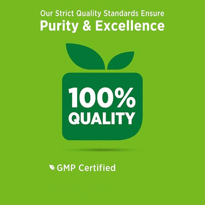 Gut Health Capsules Manufacturer - Bulk Gut Health Activated Carbon Adult Detox Beauty Product