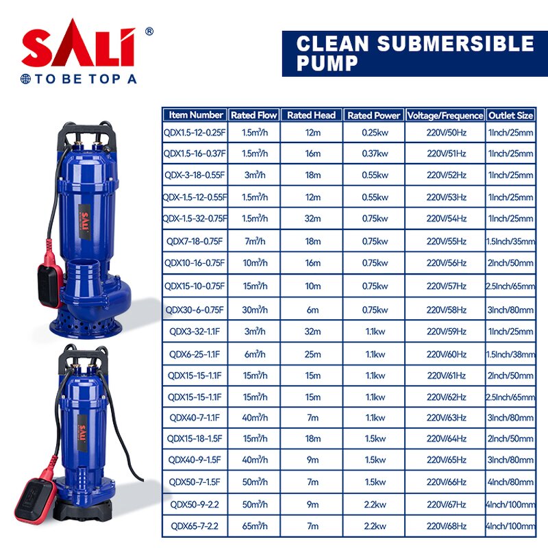 Water Pump Manufacturer - QDX7-18-0.75F Cast Iron Submersible