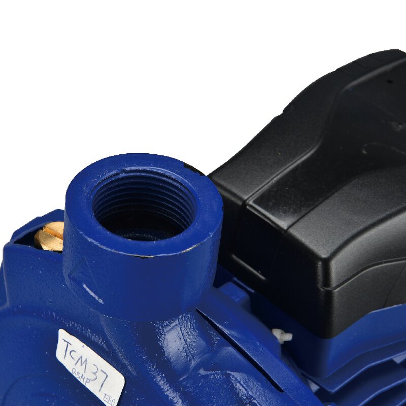 Centrifugal Pump Manufacturer - CPM130 High Flow Electric Pump