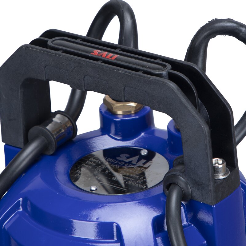 Water Pump Manufacturer - QDX-1.5-12-0.55F Cast Iron Pump