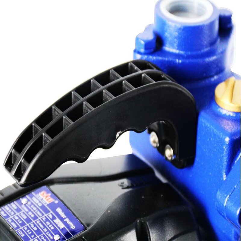 Peripheral Water Pump Manufacturer - 1WZB-65 Water Pump