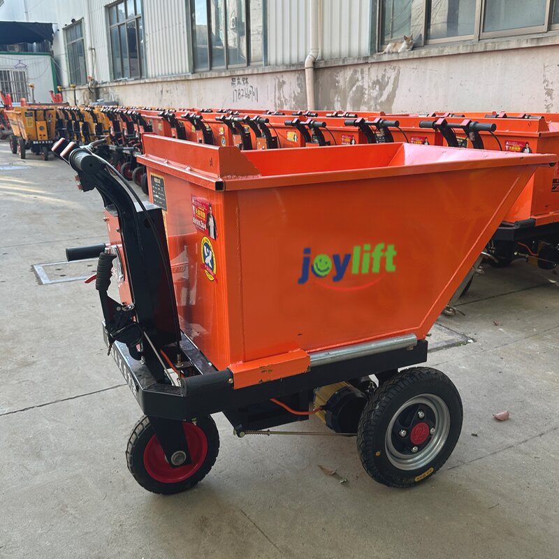 Electric Cargo Bike Manufacturer - Adult 3-Wheel Steel Tricycle