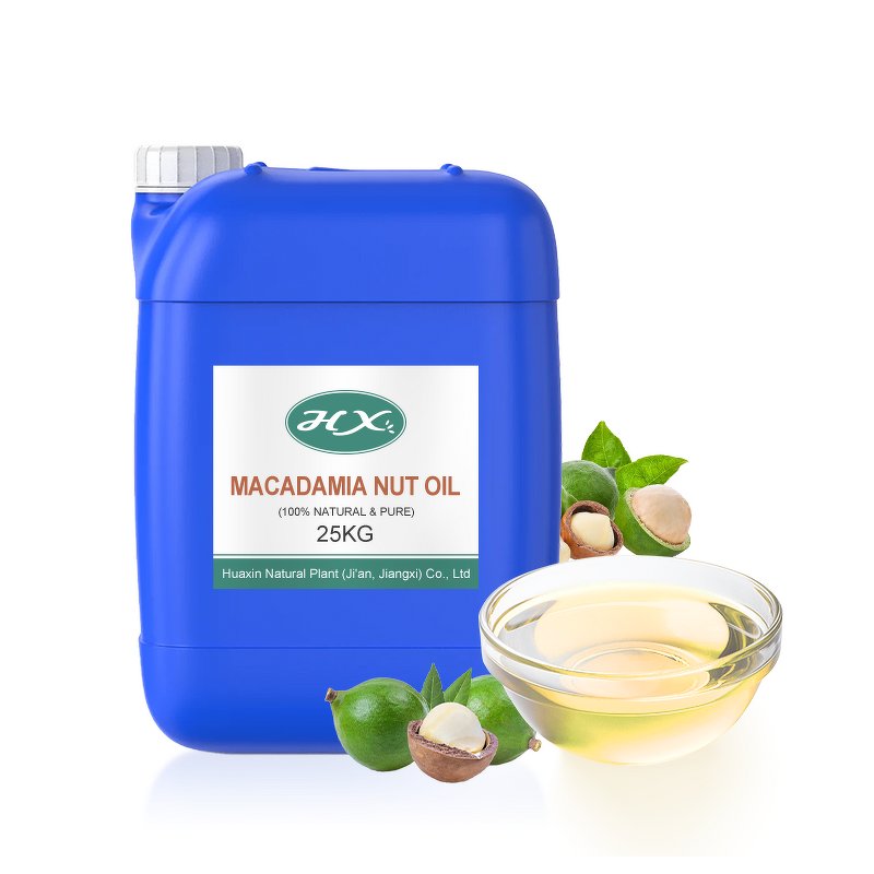 Macadamia Carrier Oil Manufacturer - Wholesale Pure Oil for Skin & Hair