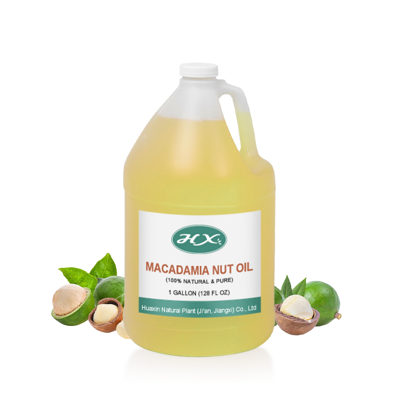 Macadamia Carrier Oil Manufacturer - Bulk Organic Oil for Hair Growth