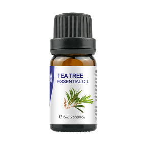 Tea Tree Essential Oil Manufacturer - Wholesale 10ml Organic Pure for Diffuser