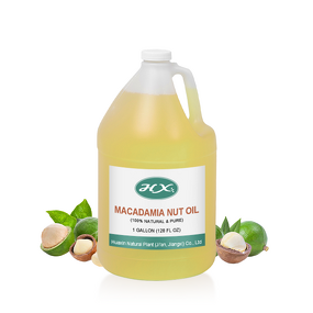 Macadamia Carrier Oil Manufacturer - Bulk Organic Pure Oil for Hair
