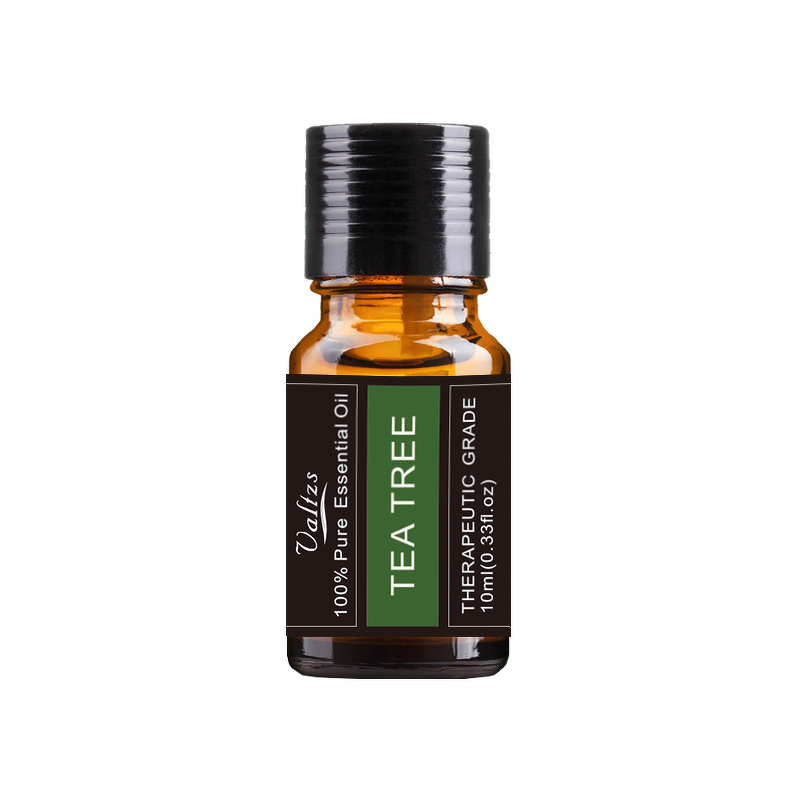 Tea Tree Essential Oil Manufacturer - Wholesale 10ml Organic Pure for Diffuser