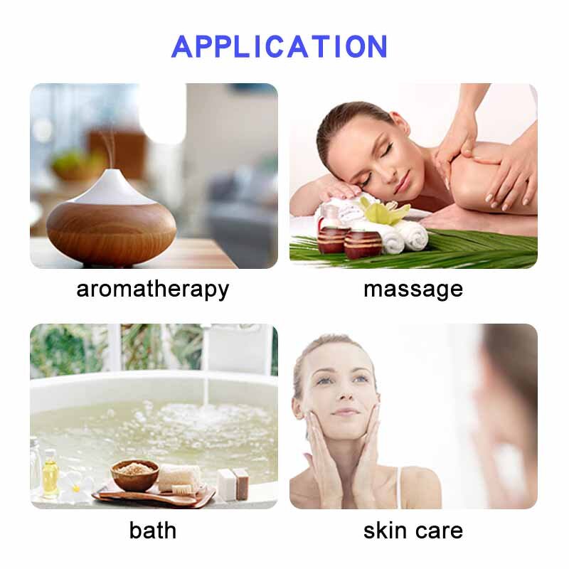 Essential Oil Gift Set Manufacturer - 10ml Mint Lavender Orange Bulk Set