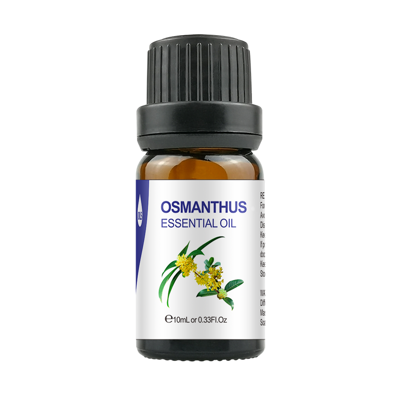 Lemongrass Essential Oil Manufacturer - Bulk Pure Oil for Skin & Massage