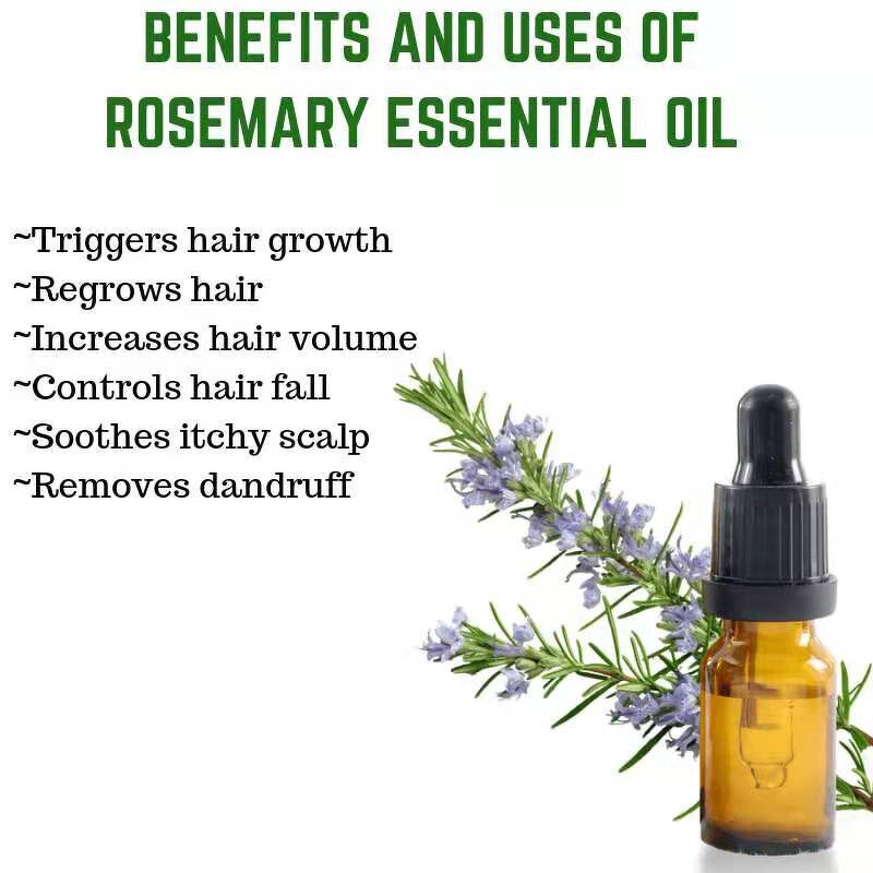 Rosemary Essential Oil Manufacturer - Wholesale Bulk Private Label Pure Oil