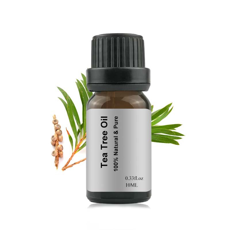 Tea Tree Essential Oil Manufacturer - Wholesale 10ml Organic Pure for Diffuser