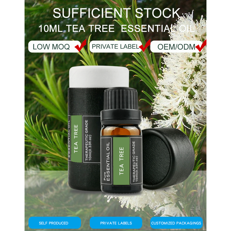 Tea Tree Essential Oil Manufacturer - Wholesale 10ml Organic Pure for Diffuser