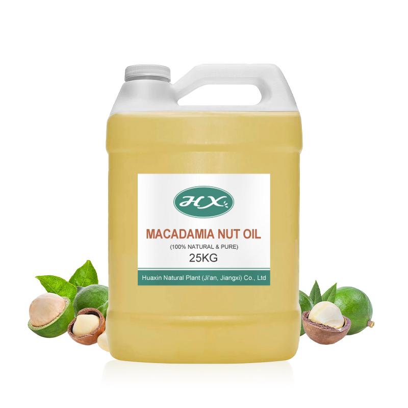 Macadamia Carrier Oil Manufacturer - Bulk Organic Pure Oil for Hair