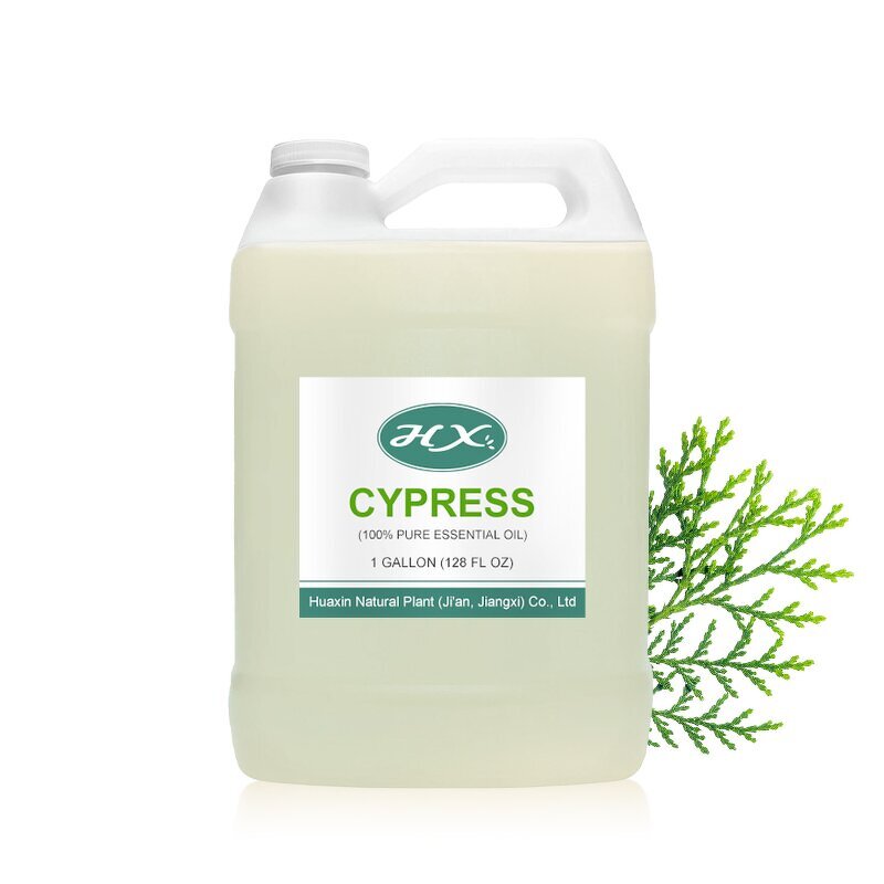 Cypress Essential Oil Manufacturer - Bulk Wholesale Gallon Organic Oil