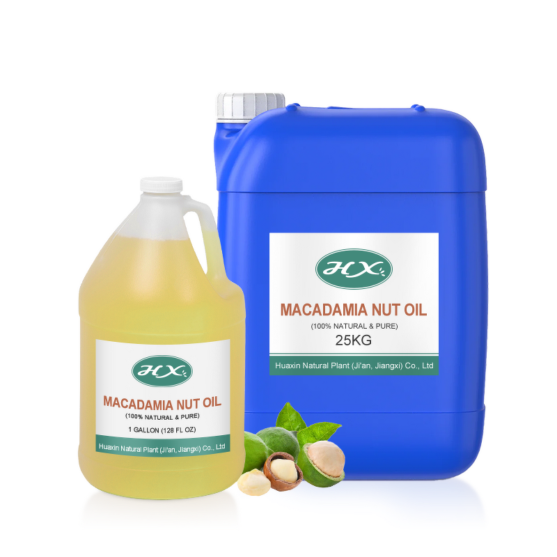 Macadamia Carrier Oil Manufacturer - Bulk Organic Oil for Hair Growth