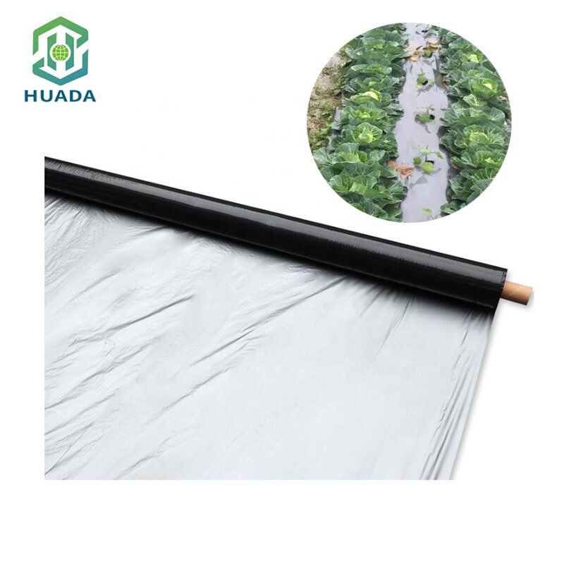 Ground Cover Mat Supplier - OEM PP Weed Control for Garden