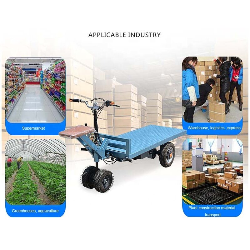 Electric Hand Trolley Supplier - OEM 1000kg Lithium Battery Automatic