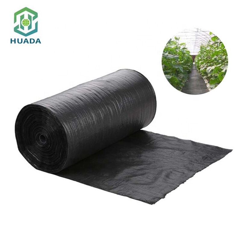 Weed Barrier Fabric Factory - Bulk Agricultural Plastic Control Mat