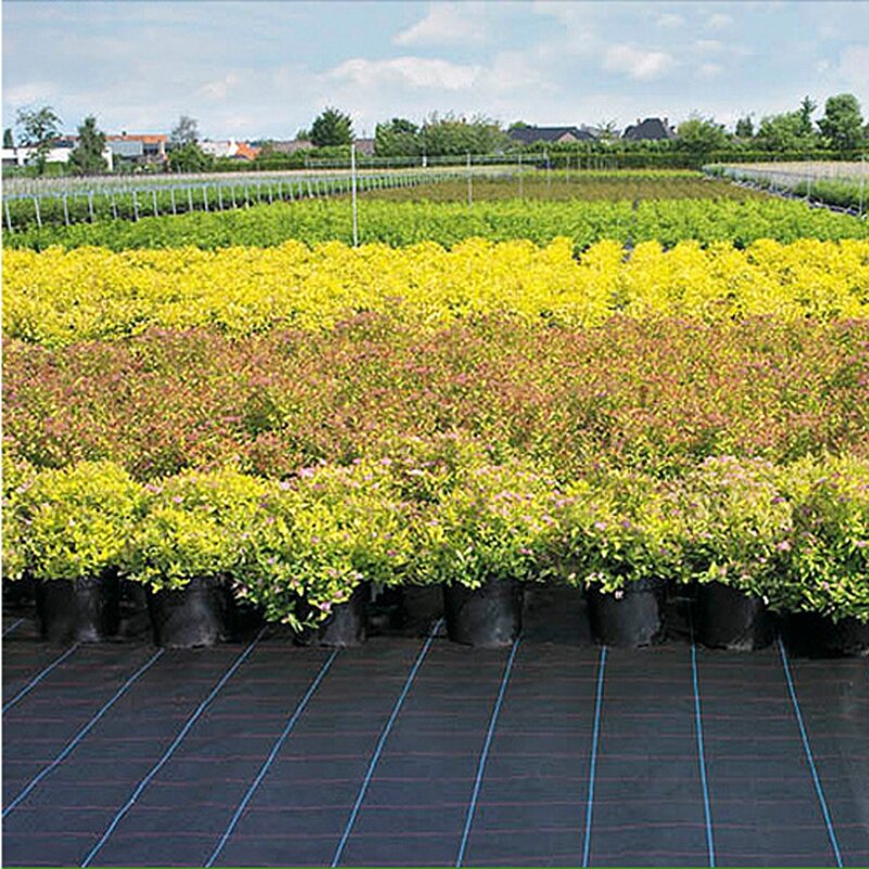 Weed Barrier Mat Factory - Wholesale PP Plastic Fabric