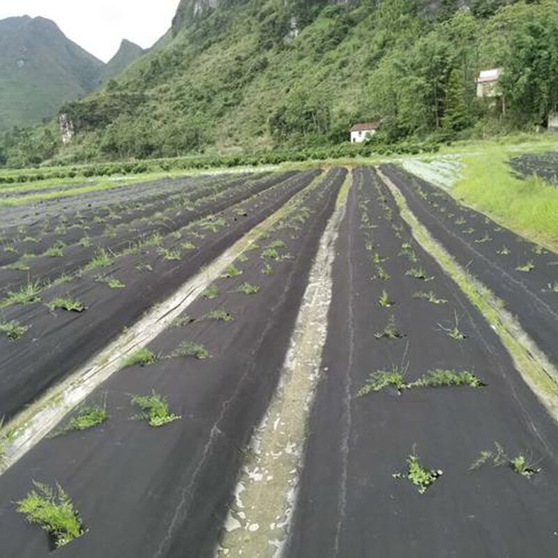 Agricultural Weed Mat Factory - OEM PP/PE Woven Heavy Duty