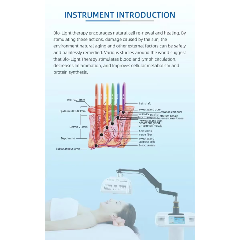 LED Light Machine Factory - OEM Beauty Salon Home Red Light Skin Rejuvenation 7 Colors Pdt