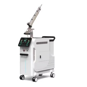 Beauty Machine Supplier - OEM Best Selling Q -switch Laser Tattoo Removal Cooling System