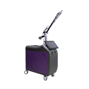 Hair Removal Machine Factory - OEM 1000W Diode Laser Best Standing Stationary Diode Laser