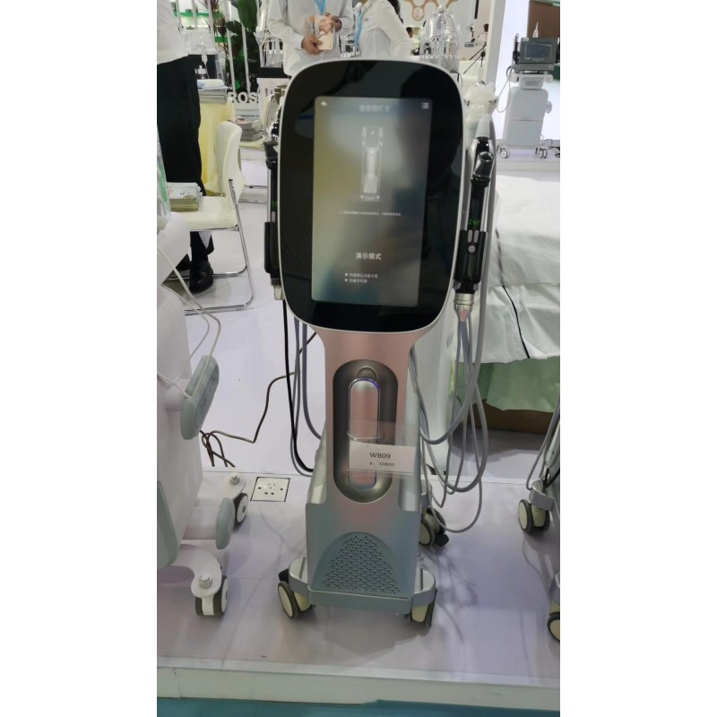 Beauty Machine Factory - Bulk Factory Price 9 in 1 10 in 1 Facial Easy Absorb Face Lift