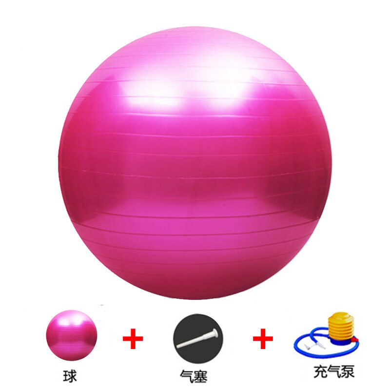 Yoga Ball Set Manufacturer - OEM Fitness Gym Ball with Pump