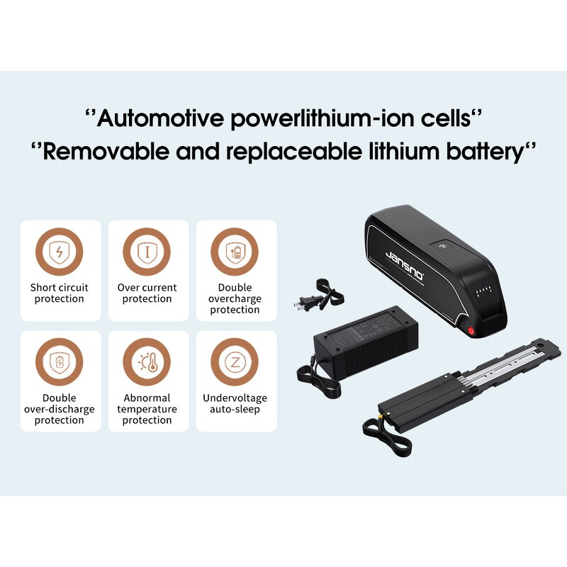 Electric Cycles Factory - OEM EU US Warehouse Pedal Assist