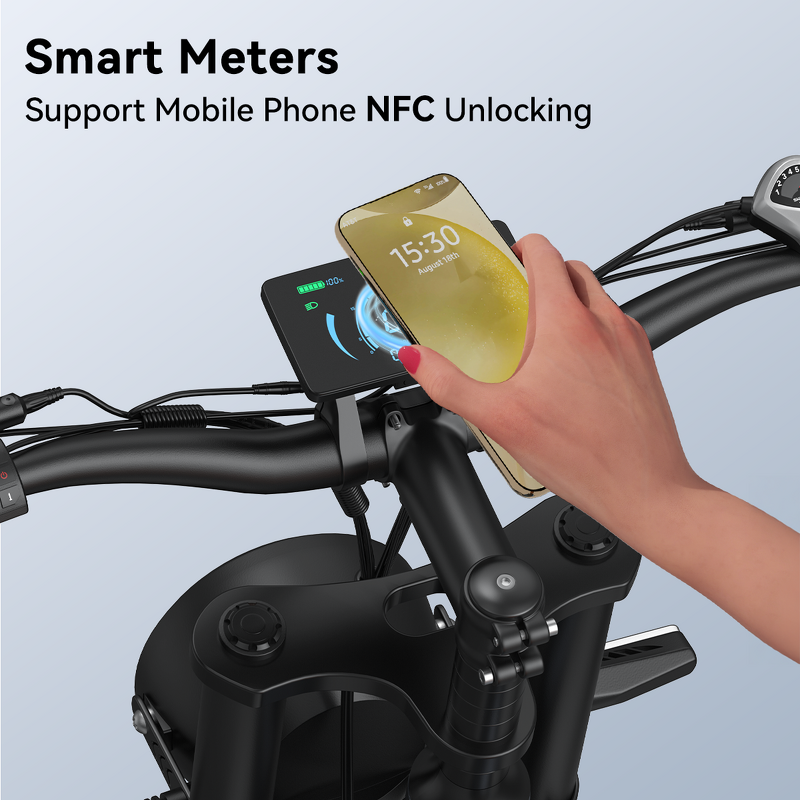 Fat Tire Electric Bike Manufacturer - OEM 1500W 48V23AH Alloy