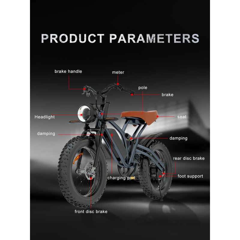 Electric Mountain Bike Factory - OEM Hot Sale Removable Battery