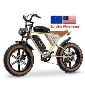 Electric Fat Tire Bike Factory - OEM 48V34AH 750W Hybrid MTB