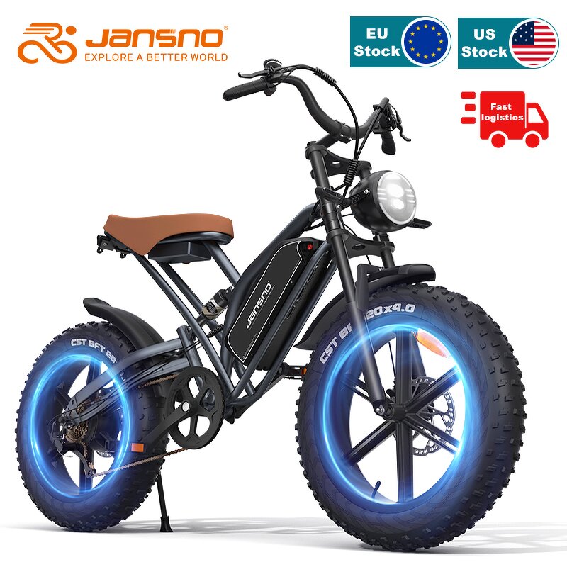 Ebike Manufacturer - OEM 2024 20 Inch Fat Tire 48V Popular