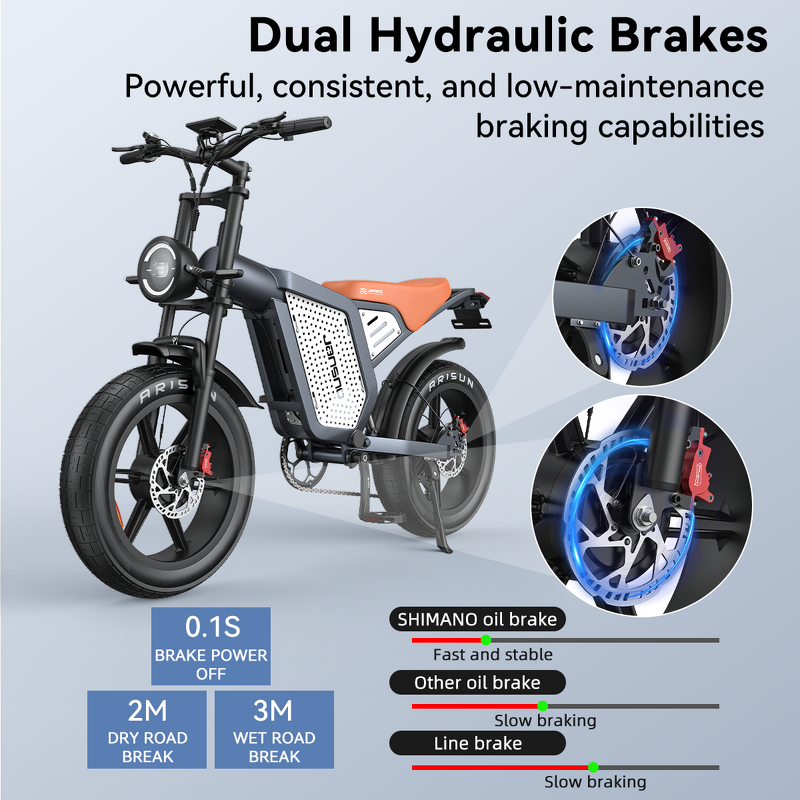 Electric Bike Manufacturer - OEM 1500W 48V Fat Tire Mountain