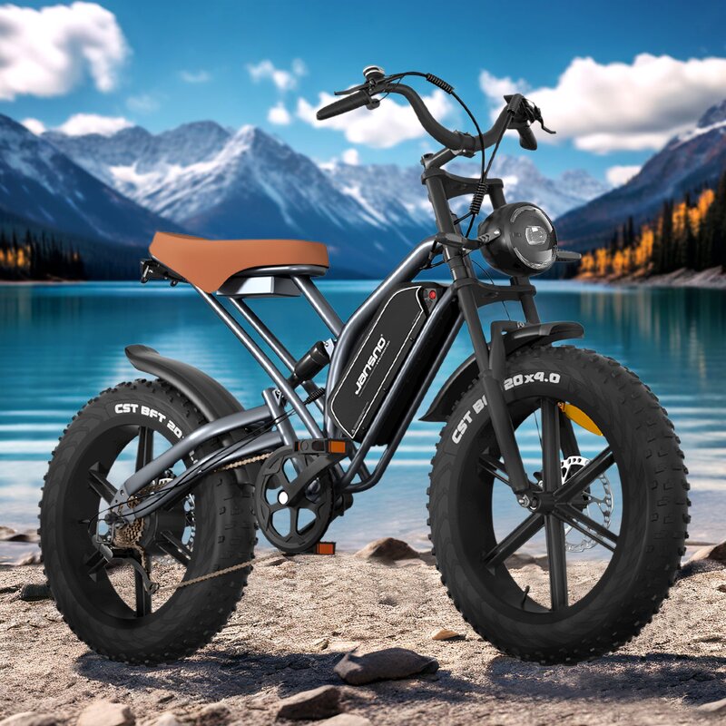 Electric MTB Manufacturer - OEM 750W 48V14AH High Power Fat Tire