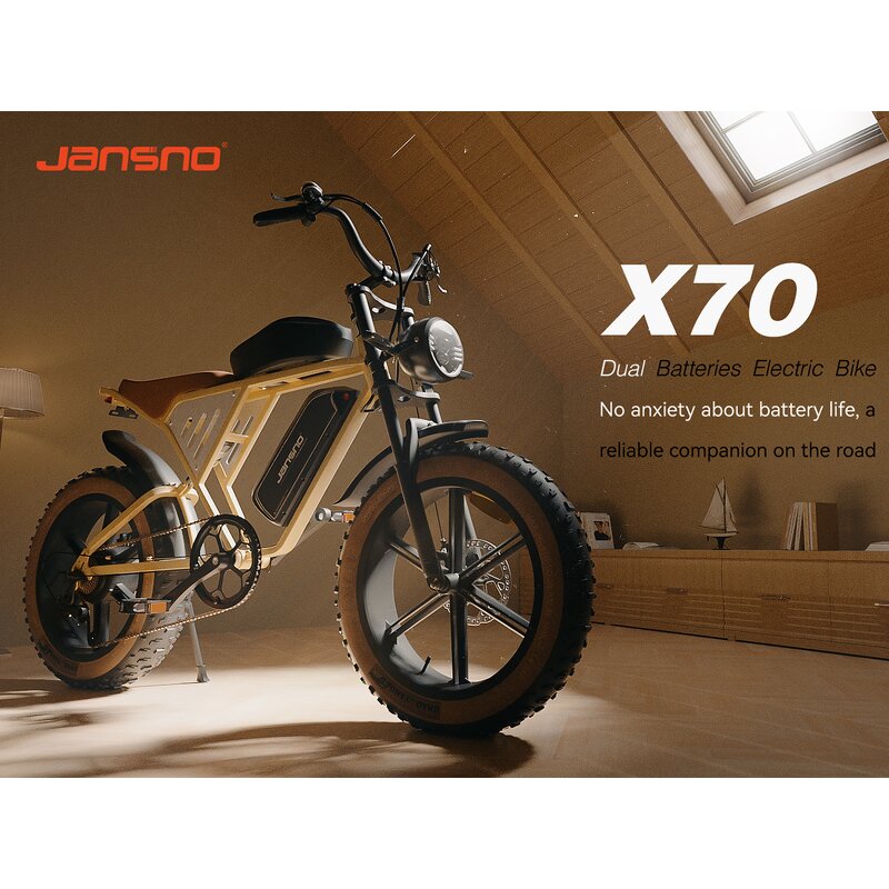 Electric Cargo Bike Manufacturer - OEM 1000w 20 Inch Fat Tire 48V