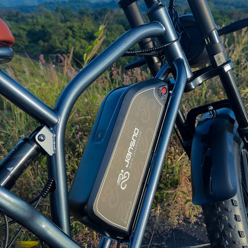Second-hand Ebike Manufacturer - OEM 750W 48V 14AH Fat Tire
