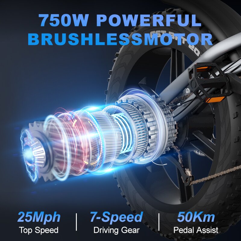 Fat Tire Mountain Bike Factory - OEM 48V14AH 750W Off-Road