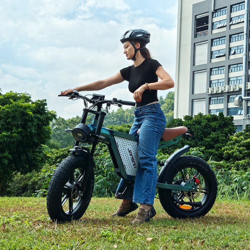 Off-Road Ebike Manufacturer - OEM 1500W 48V Dual Drive Fat Tire