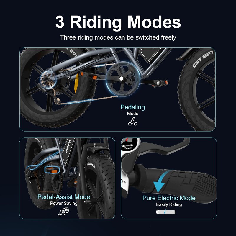 Electric Mountain Bike Manufacturer - OEM 750W 48V14AH Fat Tire