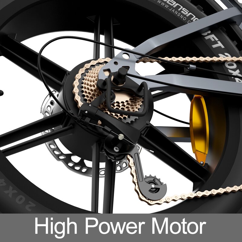 Electric Mountain Bike Factory - OEM Dual Battery 48V34AH 750W