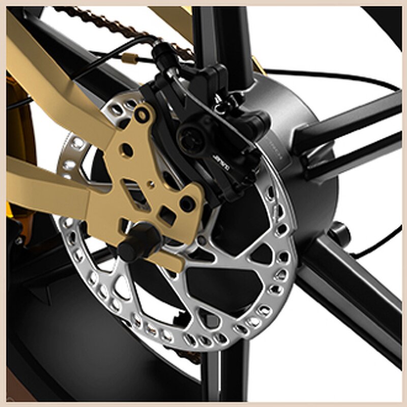 Electric Cargo Bike Factory - OEM 750W 34ah Dual Battery 26 Inch