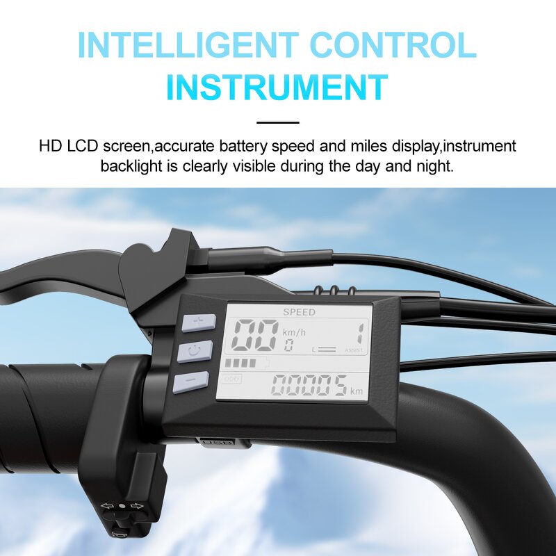 Hybrid Electric Bike Manufacturer - OEM 750W 48V14AH Disc Brake