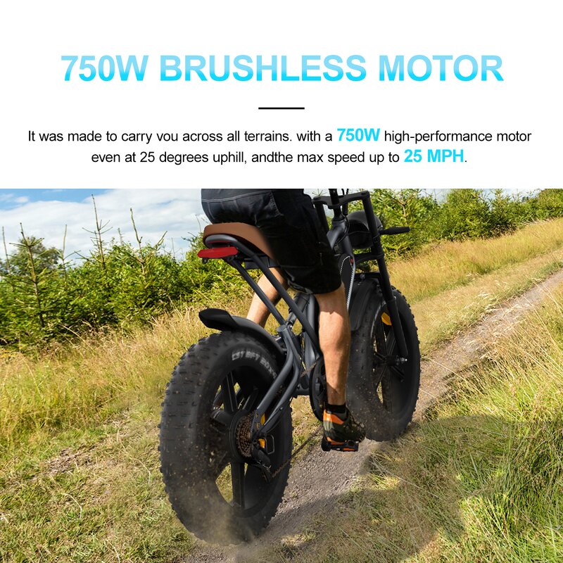 Fat Tire E-Bike Factory - OEM 48V 750W 14AH MTB Cycle