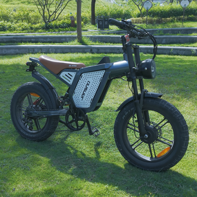 Dual Motor Electric Bike Manufacturer - OEM 48V23AH Fat Tire