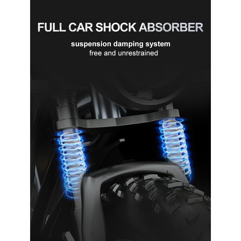 Ebike Manufacturer - OEM 2024 20 Inch Fat Tire 48V Popular