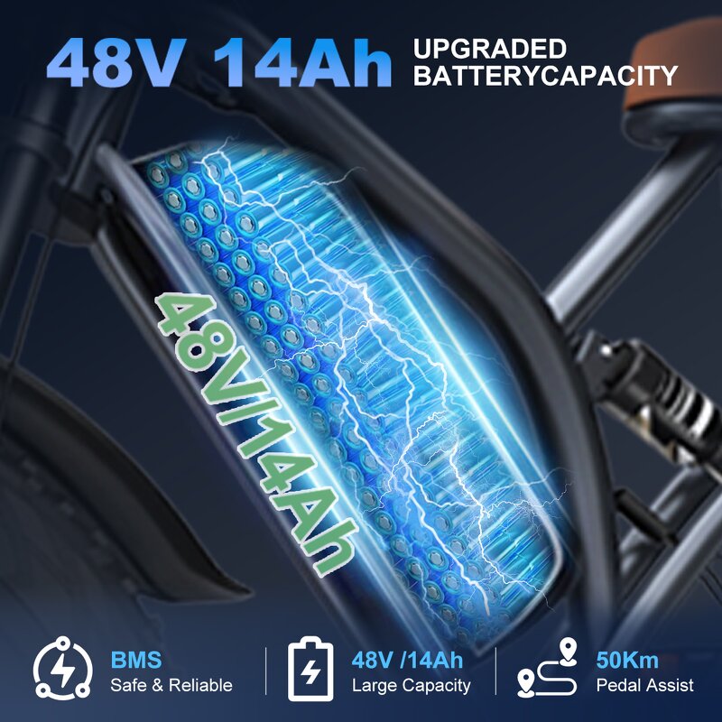 Fat Tire Mountain Bike Factory - OEM 48V14AH 750W Off-Road