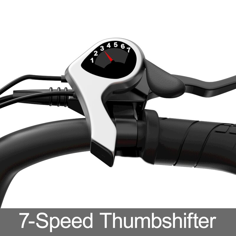 Electric Mountain Bike Factory - OEM Dual Battery 48V34AH 750W