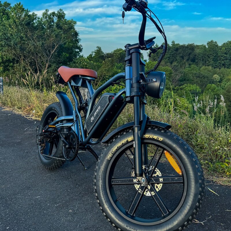 Second-hand Ebike Manufacturer - OEM 750W 48V 14AH Fat Tire